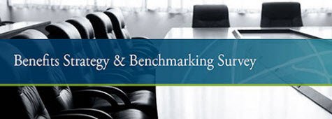 GBS NBS 2013 Banner